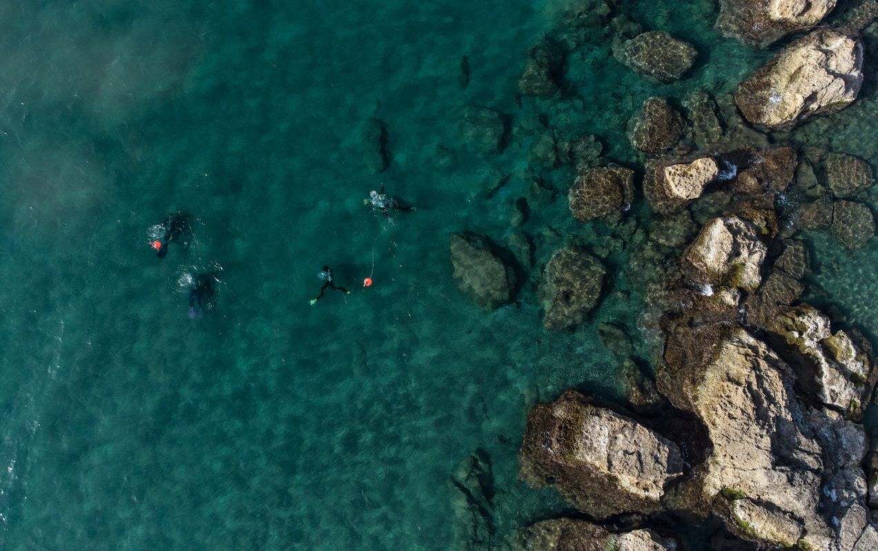 LIDL PlasticFree Crete DJI_0533 1272×799 LIDL PlasticFree Crete DJI_0533 1272x799